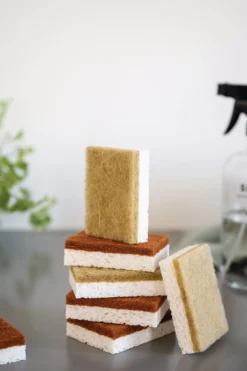 Sale Nice and tidy Disksvampar multi - 6x8 cm