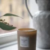 Sense the Moment Doftljus beige - 250 g