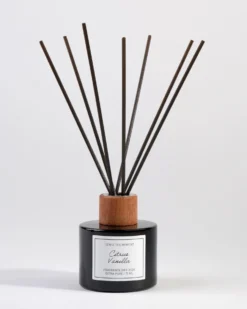 Clearance Sense the Moment Doftpinnar beige - 75 ml