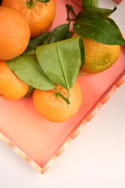 Discount Fat orange - 30x20x3 cm