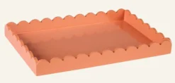 Discount Fat orange - 30x20x3 cm