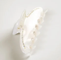 Sale Hårklämma offwhite - 4,2x8,8x3,8 cm