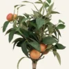 Best Konstgjord bukett orange - 30x30x46 cm