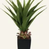 Discount Konstgjord växt grön - 75 cm