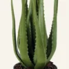 Sale Konstgjord växt grön - 58 cm