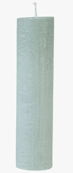 New Kronljus havsgräs - 5x25 cm