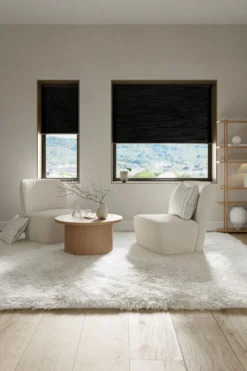 Clearance Ljusfiltrerande dubbel plisségardin svart - 100x160 cm